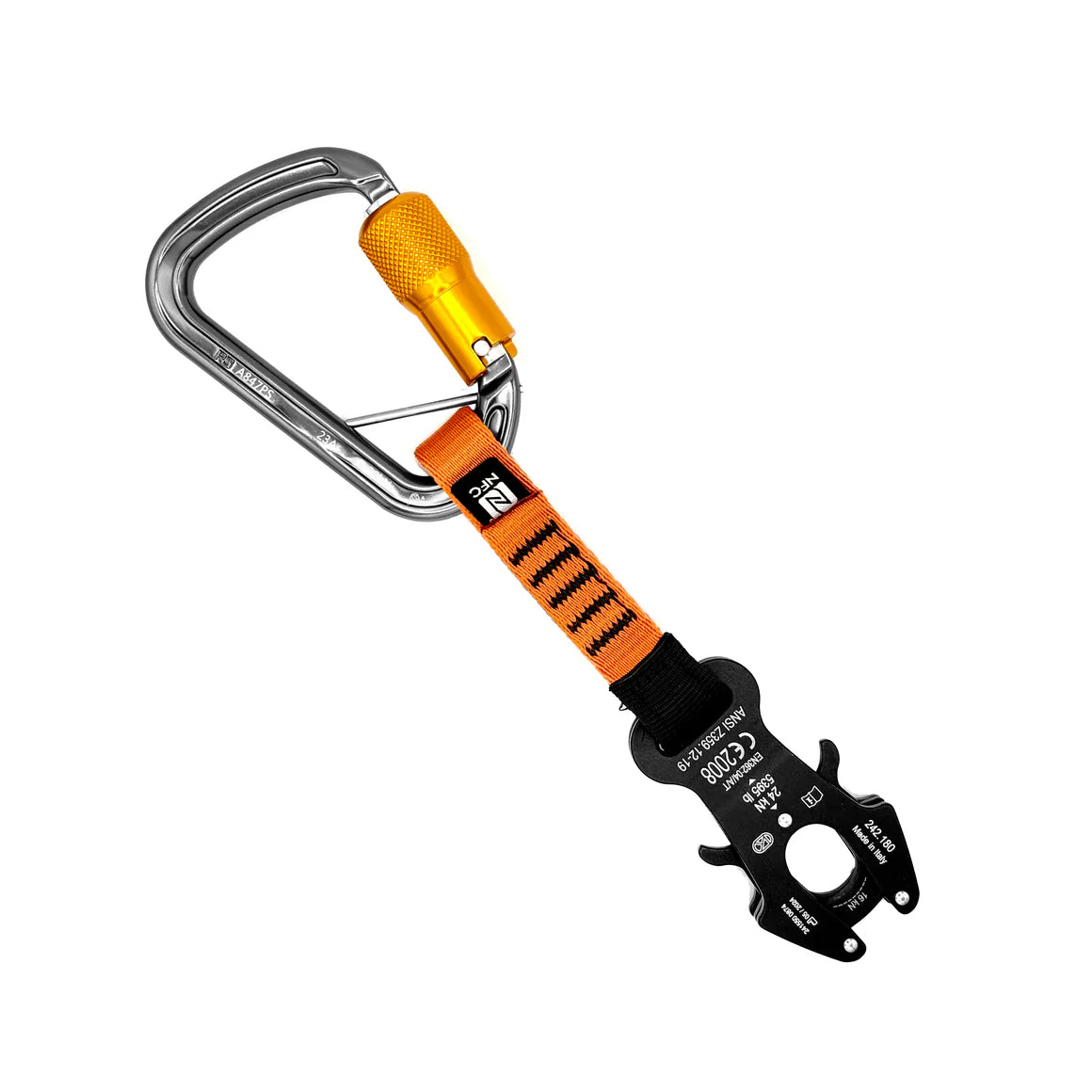 Kong Italy Frog ANSI Quickdraw