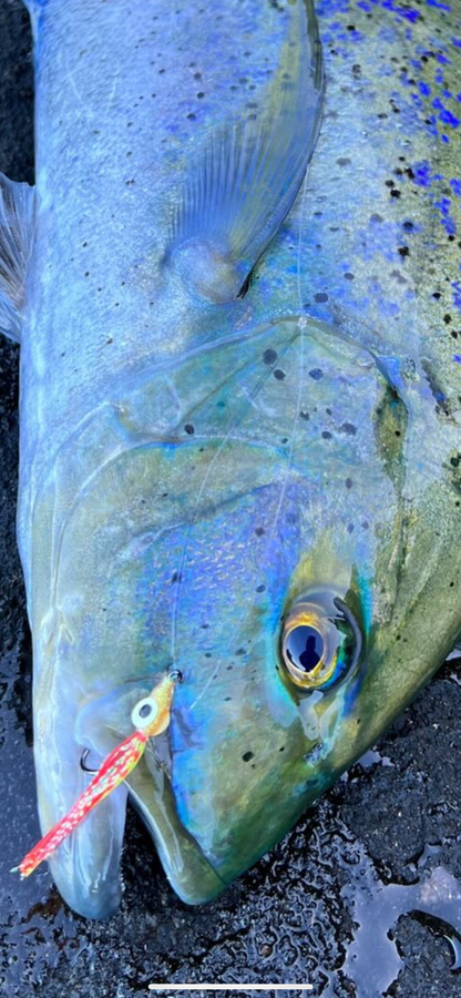 Screamah Flies (3PK)