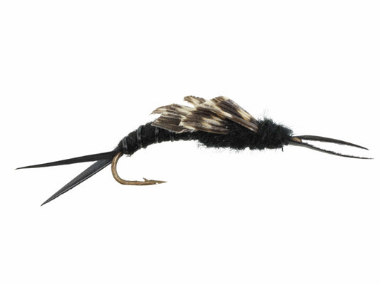 Wild Water Fly Fishing Kaufman Stonefly, Size 8 (Qty 6) | SendIt Sailing