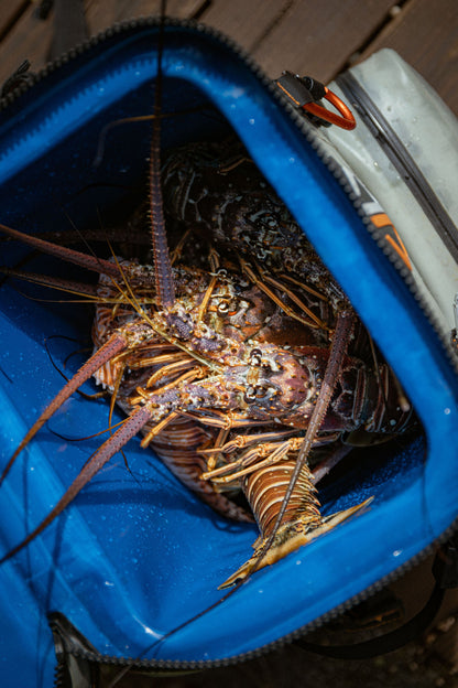 Outdoor Cooler Backpack - Large