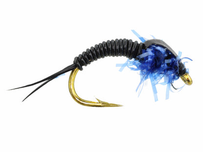 Wild Water Fly Fishing Estaz Stonefly, Metallic Royal Blue, Size 6 (Qty 6) | SendIt Sailing