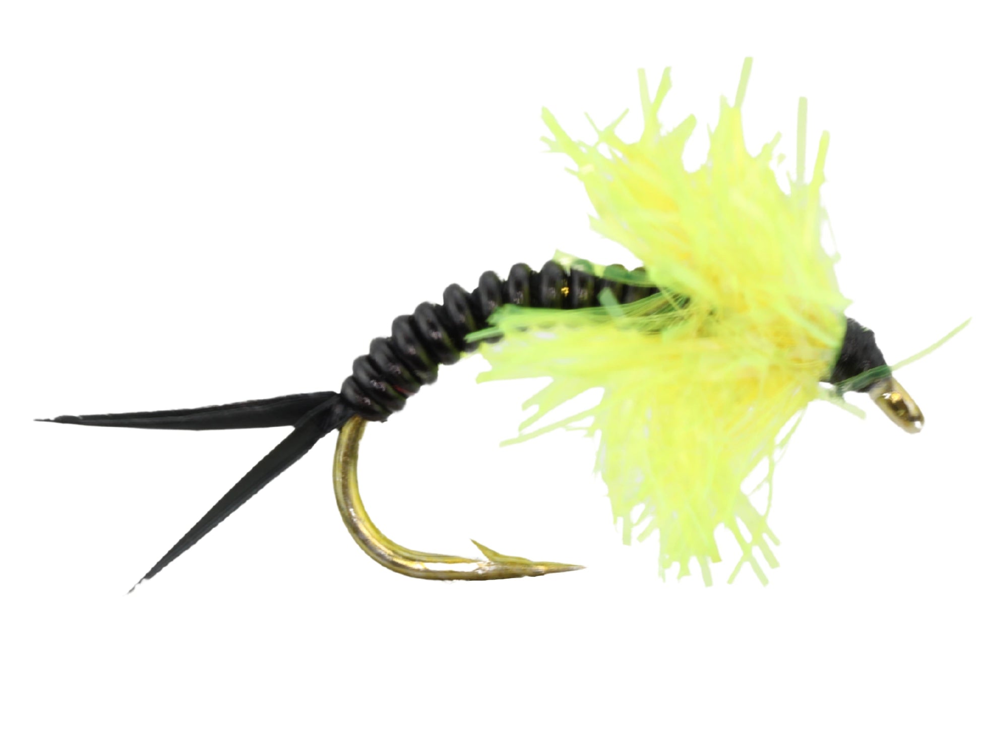 Wild Water Fly Fishing Estaz Stonefly, Metallic Yellow, Size 6 (Qty 6) | SendIt Sailing