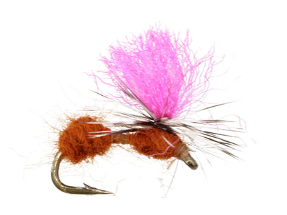 Wild Water Fly Fishing Mobile Ant, Size 14 (Qty 6) | SendIt Sailing