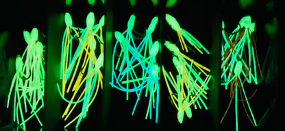 Mystery Smash Boxes (All Flies)