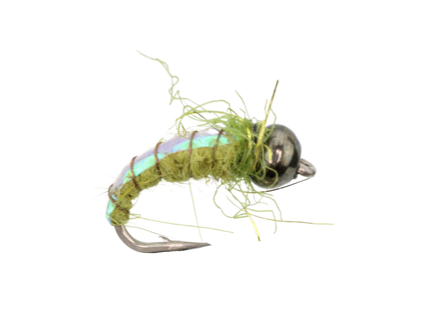 Wild Water Fly Fishing Olive Electric Caddis, Size 16 (Qty 6) | SendIt Sailing