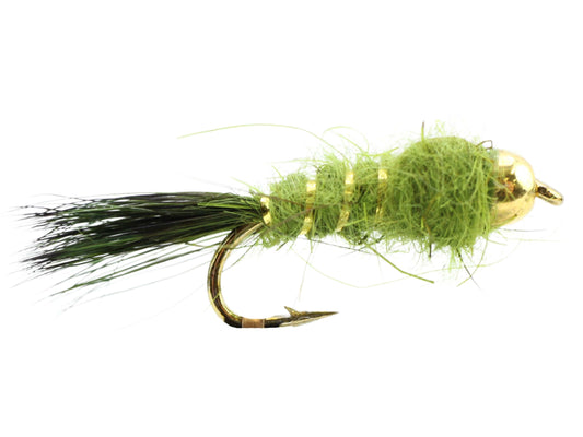 Wild Water Fly Fishing Bead Head Olive Flashback Nymph, Size 12 (Qty 6) | SendIt Sailing