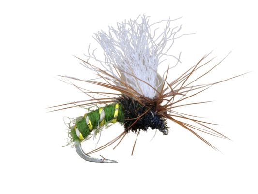 Wild Water Fly Fishing Olive Kinkhammer, Size 14 (Qty 6) | SendIt Sailing