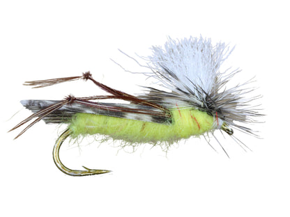 Wild Water Fly Fishing Parachute Hopper, Size 10 (Qty 6) | SendIt Sailing