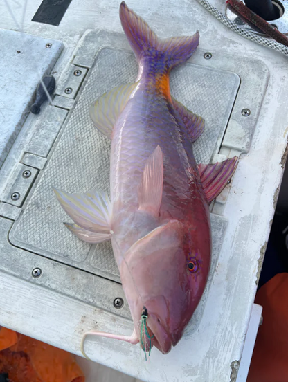 Mystery Smash Boxes (All Flies)