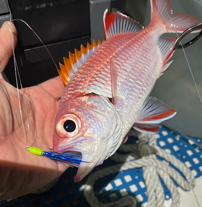 Menpachi Killah Smash Box (25PC)