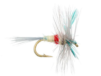 Wild Water Fly Fishing Sherry Spinner, Size 14 (Qty 6) | SendIt Sailing