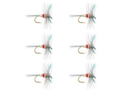 Wild Water Fly Fishing Sherry Spinner, Size 14 (Qty 6) | SendIt Sailing