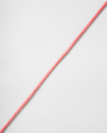 Rooster Rooster Spectwelve | SendIt Sailing