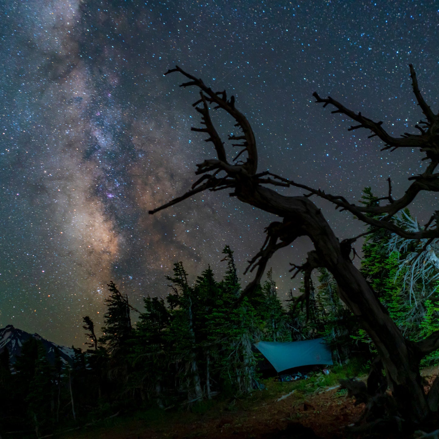 Air Bivy All Weather Shelter & Hammock