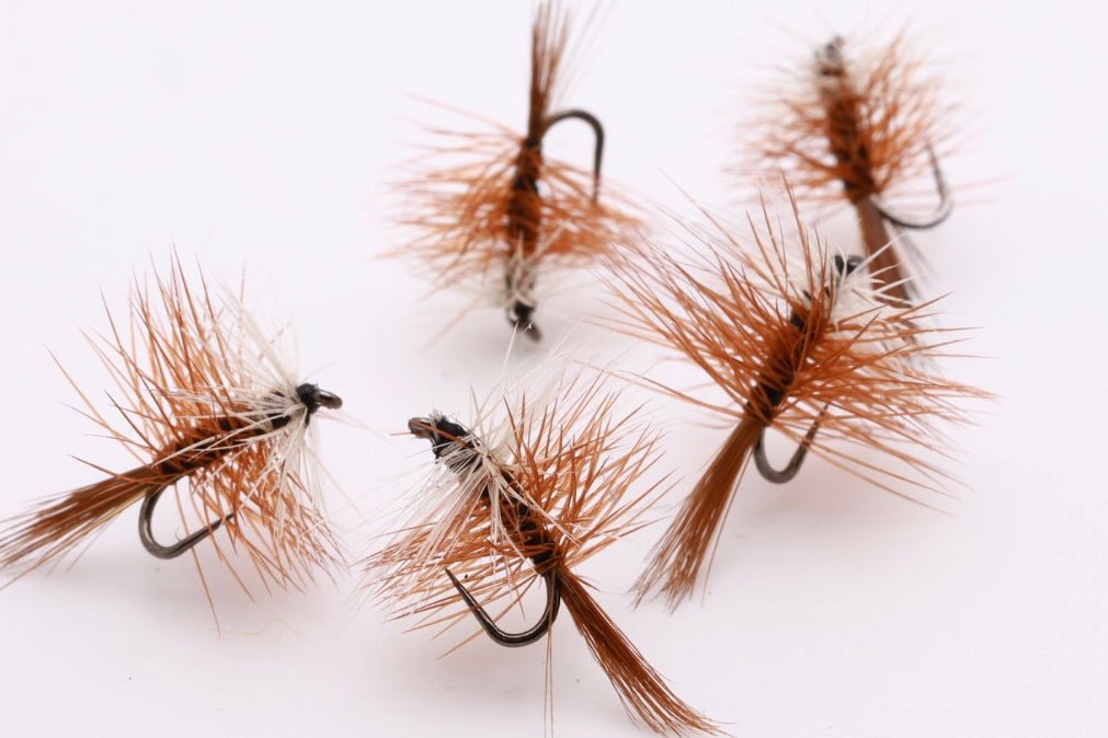Brown Bivisible