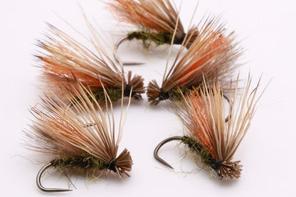 Clueless Caddis