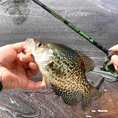VEXAN® Crappie Rods & Panfish Rods
