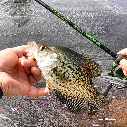 VEXAN® Crappie Rods & Panfish Rods