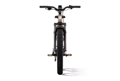Aventon Aventure.3 E-Bike Step-Through