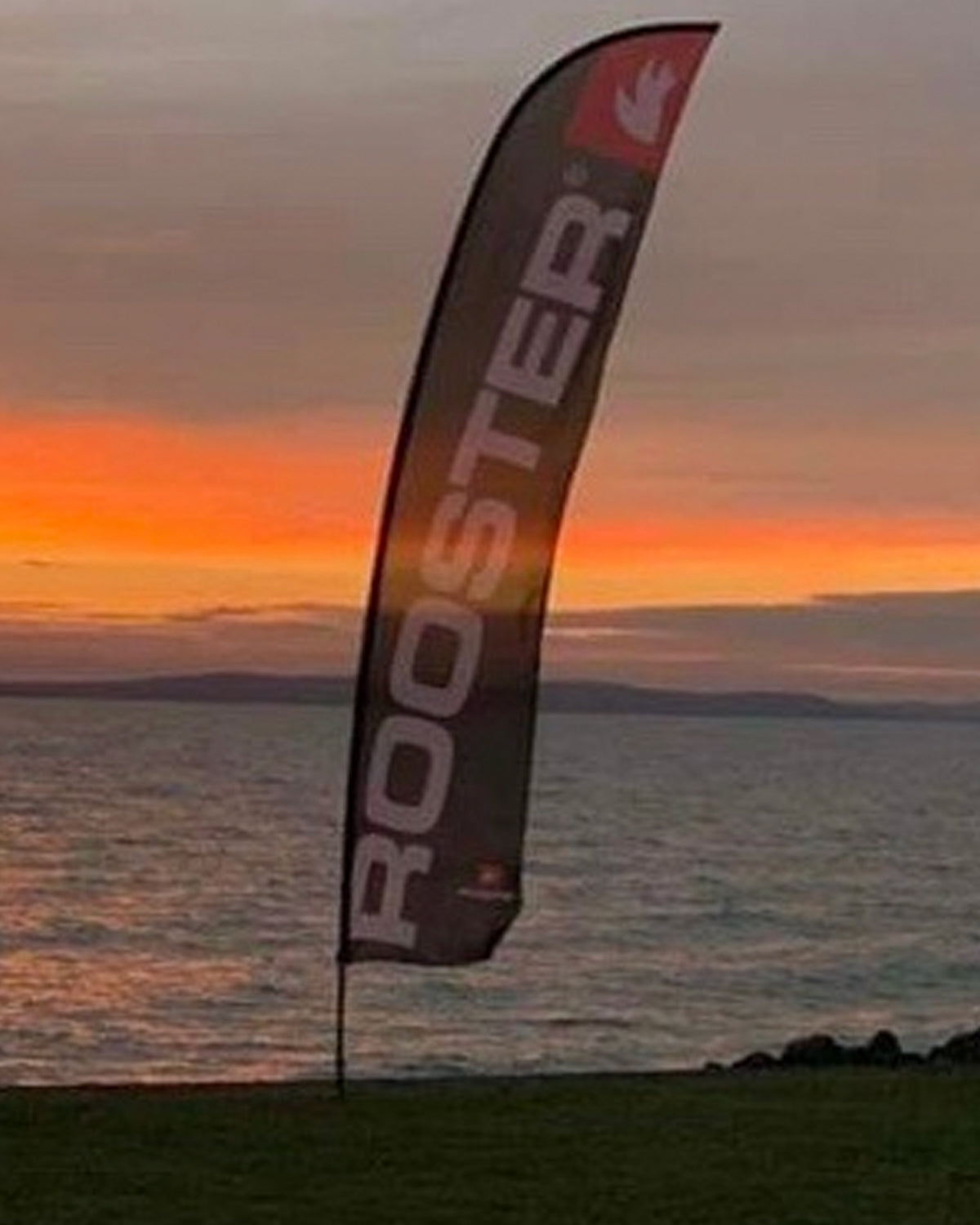 Rooster Rooster Feather Flag | SendIt Sailing