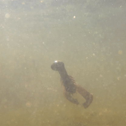 Reaction Tackle Lead Swing Football Jigs - 5-PACK - New