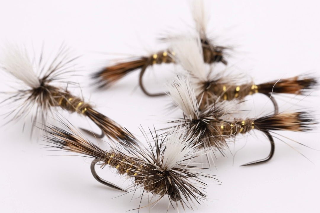 Hare’s Ear Parachute