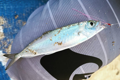 Halalu/Akule Flies 5PK