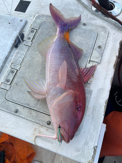 Screamah Flies (3PK)