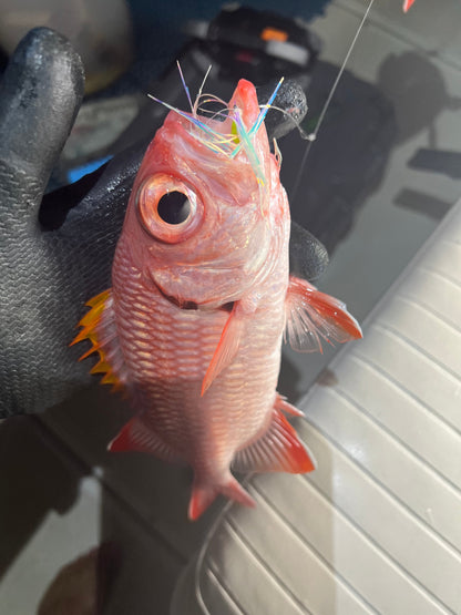 Menpachi Killah (5PK)