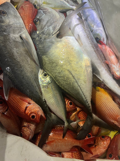 Halalu/Akule Flies 5PK