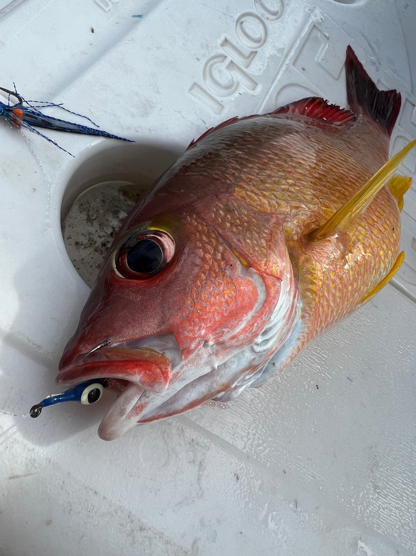 Screamah Flies (3PK)