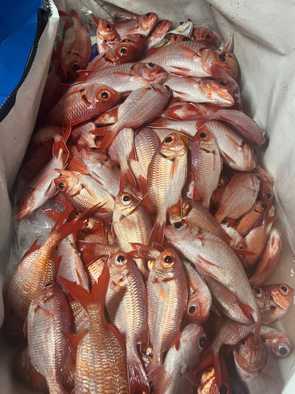 Menpachi Killah (5PK)