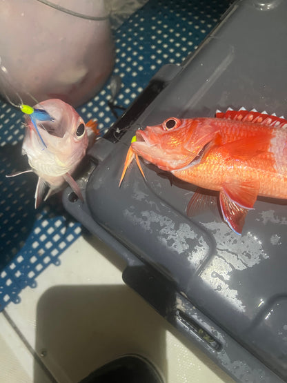 Menpachi Killah (5PK)