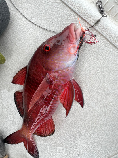 Bottom Mix Plate Smash Box (16PC)