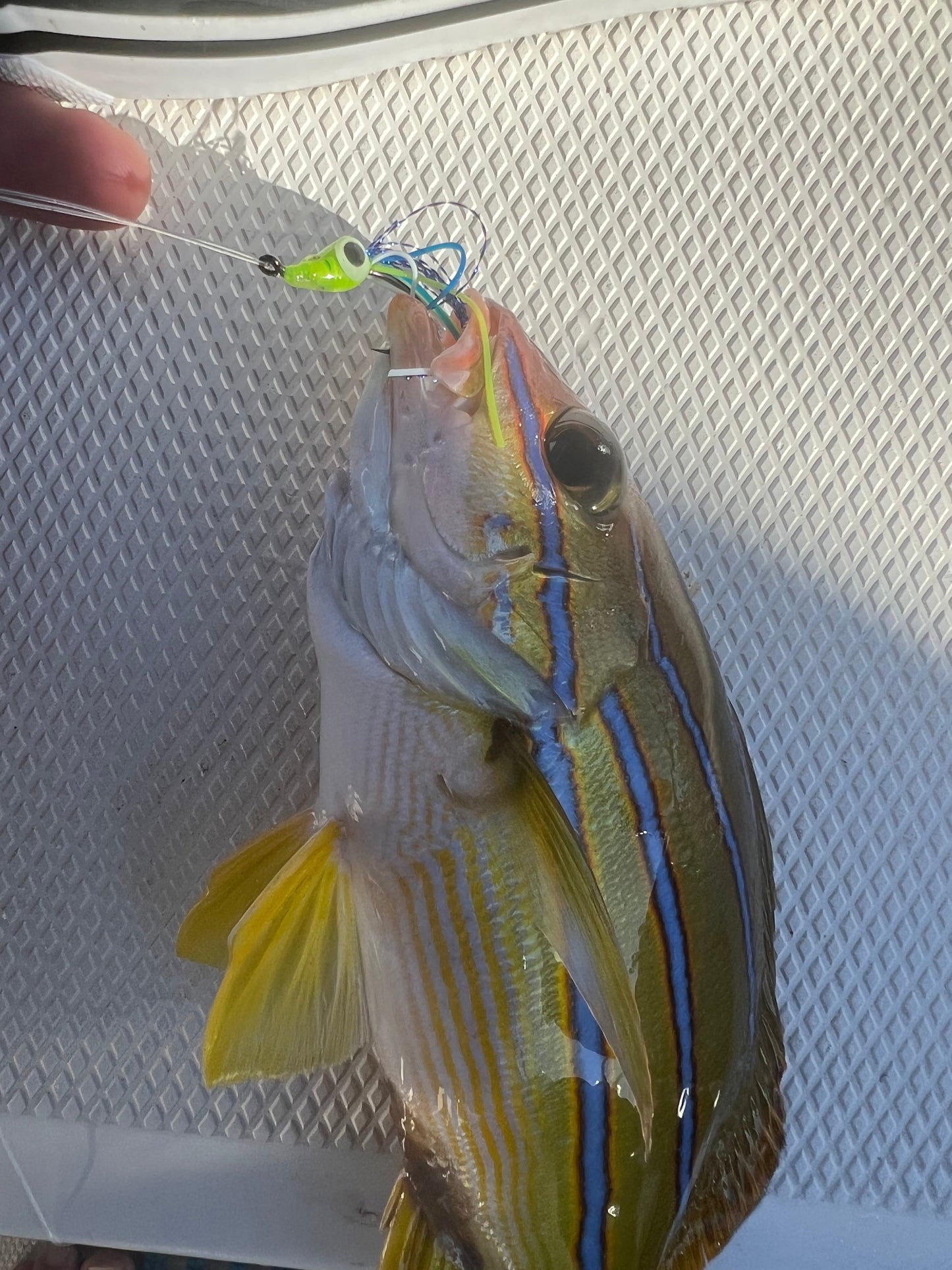 Screamah Flies (3PK)