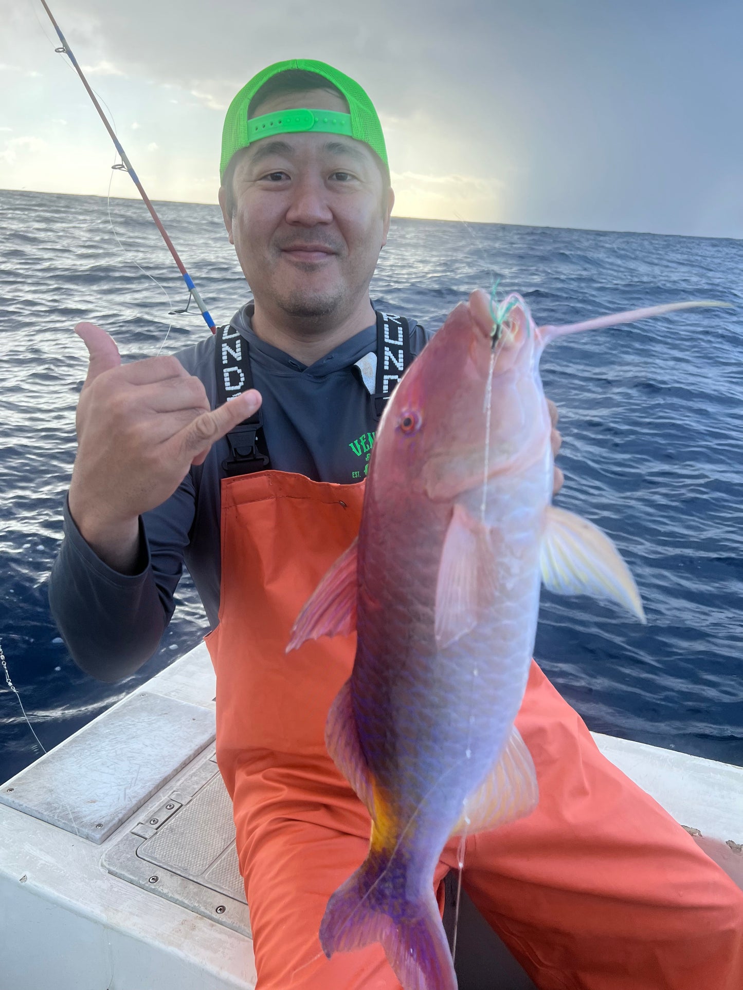 Bottom Mix Plate Smash Box (16PC)