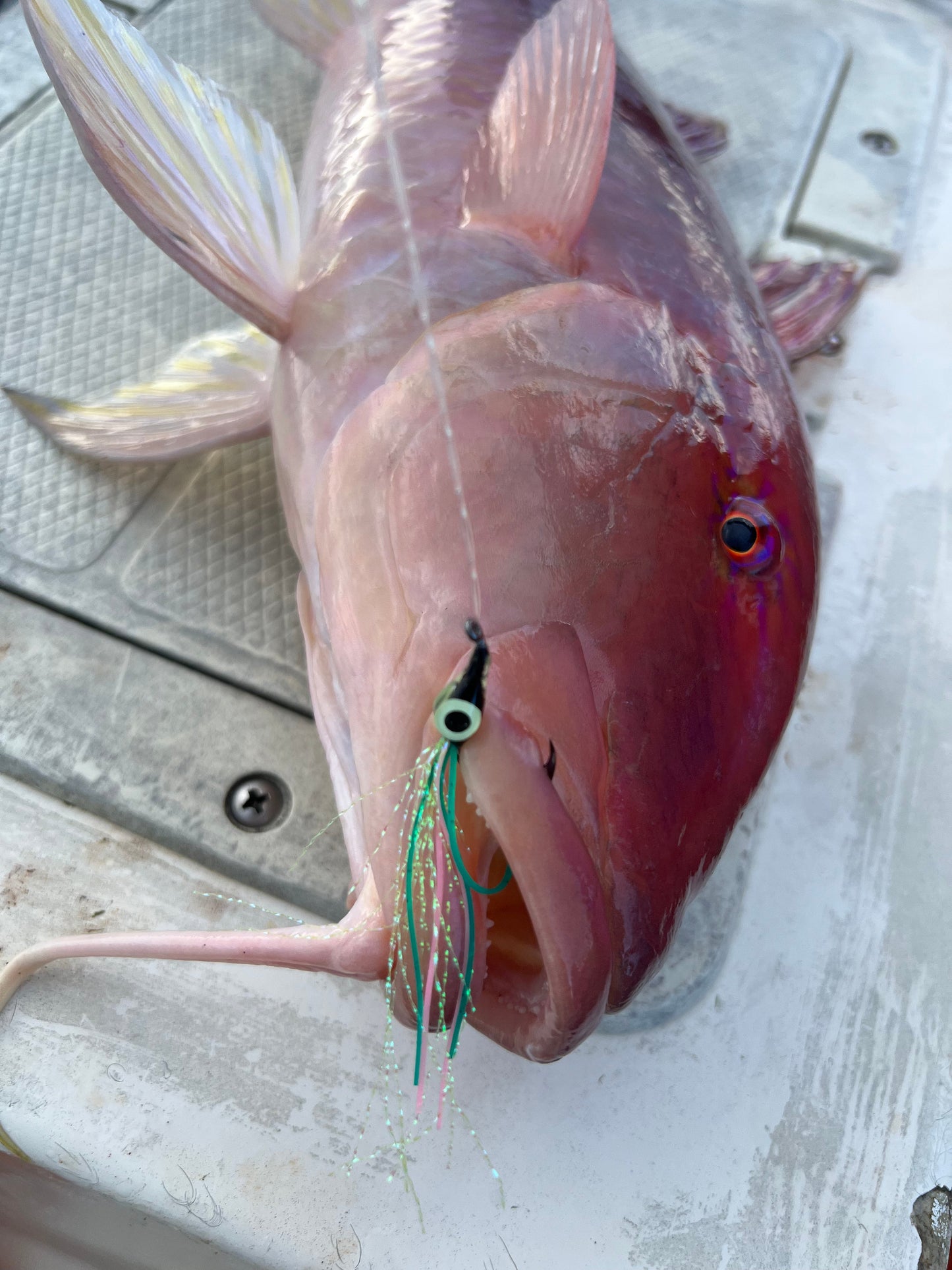 Screamah Flies (3PK)