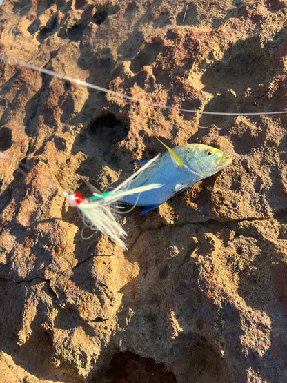 Shoreline Flies Smash Box (5PC)