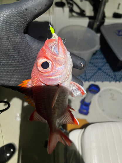 Menpachi Killah (5PK)