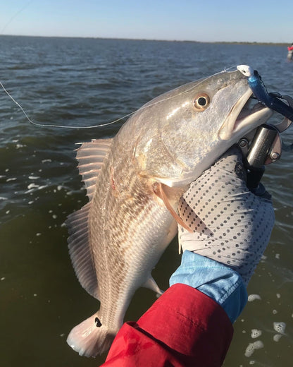 A.M. Fishing Bruiser