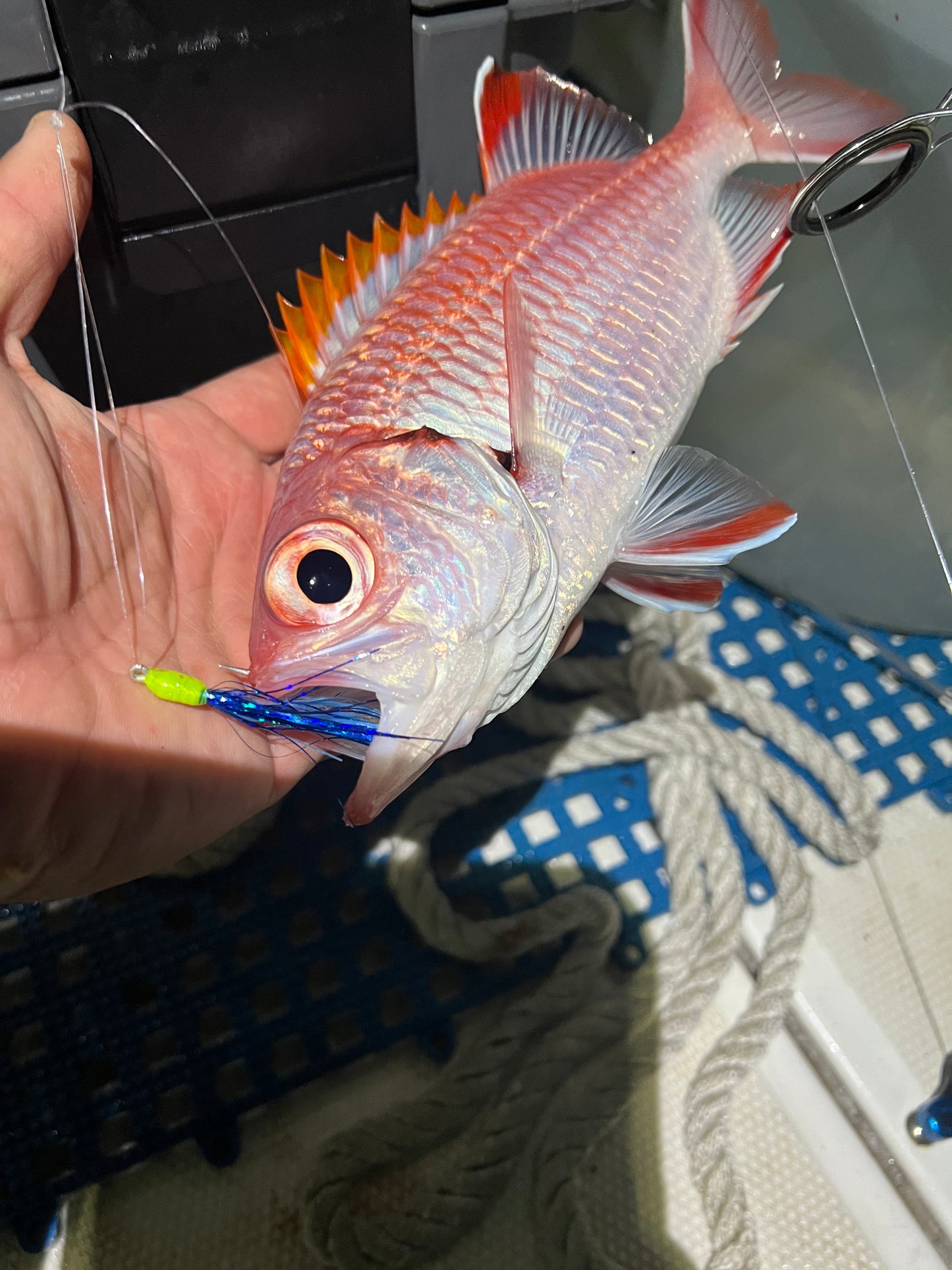 Menpachi Killah (5PK)