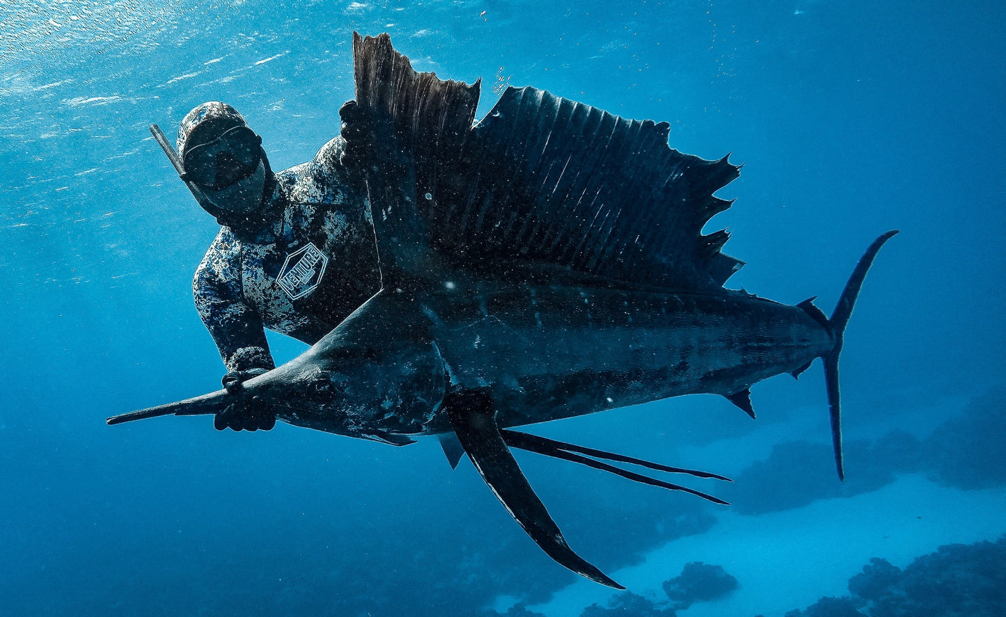 Blue Water Flasher Fish Blades