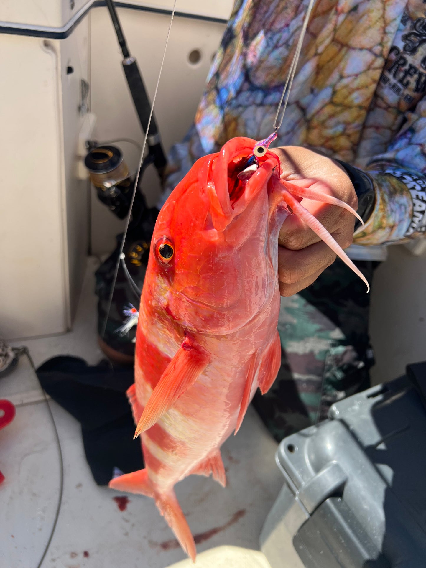 Bottom Mix Plate Smash Box (16PC)