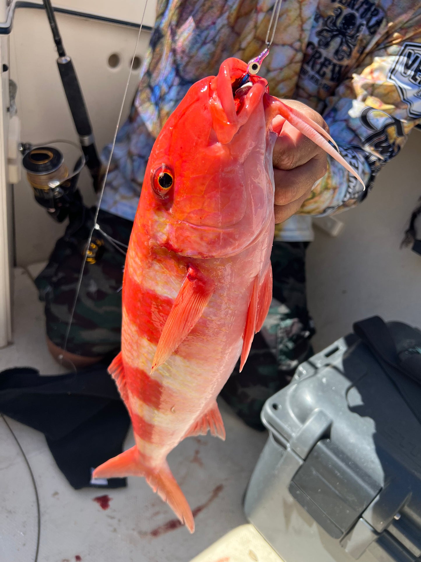 Screamah Smash Box (15PC)