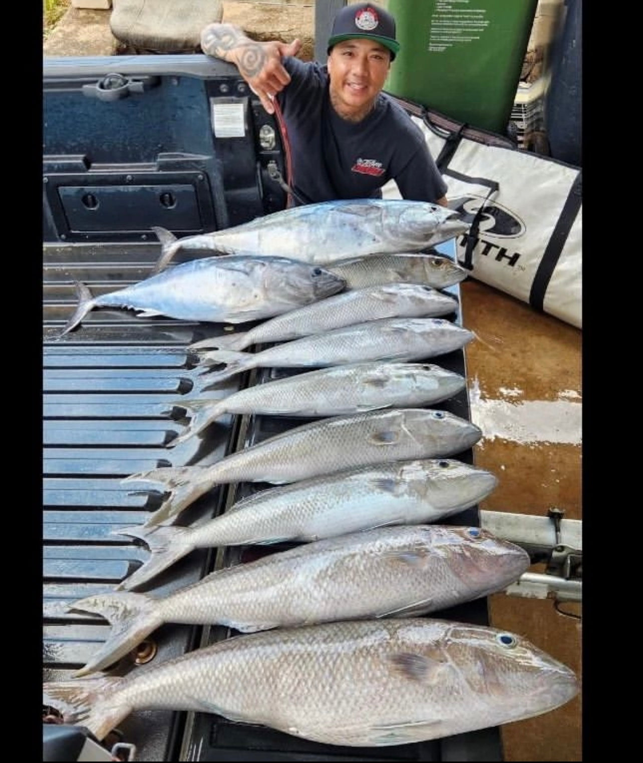 Opelu Flies Smash Box (25PC)