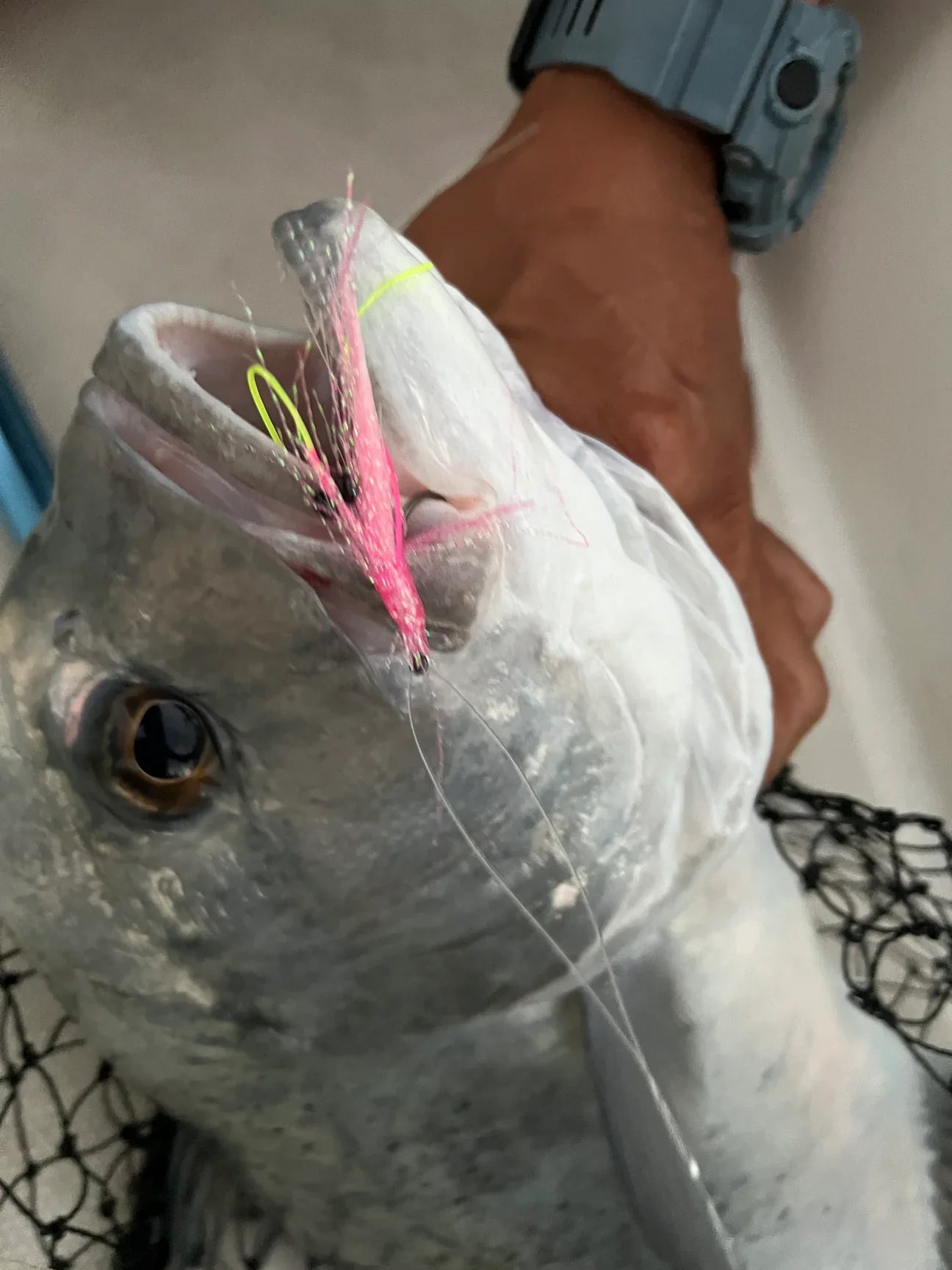 Bottom Mix Plate Smash Box (16PC)