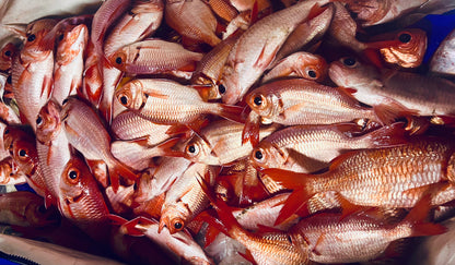 Menpachi Killah Smash Box (25PC)