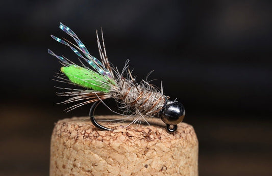 Peeping Caddis