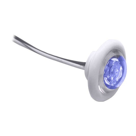 Innovative Lighting LED Bulkhead/Livewell Light inThe Shortiein Blue LED with  White Grommet | SendIt Sailing