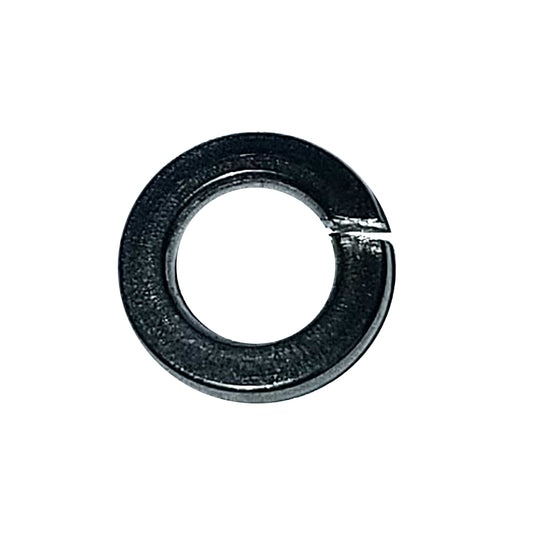 Maxwell Washer Spring - 6mm - 304 Stainless Steel | SendIt Sailing